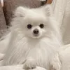𝓎♡