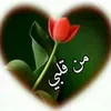 user4698487093585