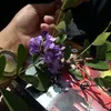 sialkoti416