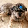 conchi0769