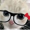 _sqfaxie