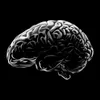 mindmystery.facts