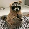 mihaela1sswagg