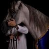 aboodi171