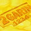 2gar1n1234