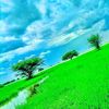hazifamhamad25bia9