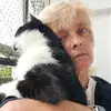 britwolle