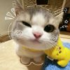 hanaa_farzana