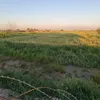ztwggn