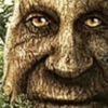 monkeyabuser28