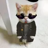 rysio_wate