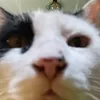 riverobruno_