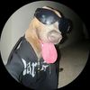 martinez_j2007