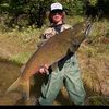 fischerseets1