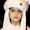 hasnainfirdous55