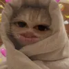 _shali18_