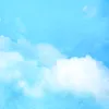 𝐬𝐡𝐢𝐧𝐞✈