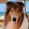 caramel_wolf