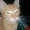 jeremie1149103870
