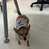 dr.barbaras
