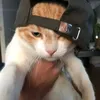 iiiiz_16