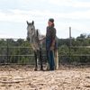 wildechildofficial