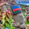 elgun_356