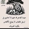 omerkidirmohaamdabwgizil