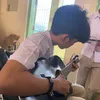 shibaluu23