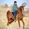 fahd_