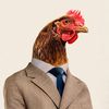 sir.chicken123