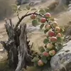 y_l_j5