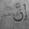 user274525301