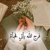 user2342063333728