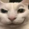 zolikaaaa_1