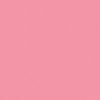 csnv_bb