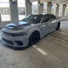 bagged_cat_508