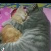user741100961012