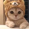 cristian_fxf5