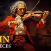 violinoorquestra