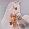 x3ffg