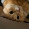 user_286752