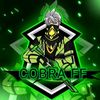 cobra_x036