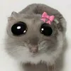 dtislay_12