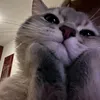 phhwiv.133