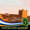cheikhabdellahi70