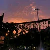 phantruong_0