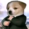userl9liw2c8dx