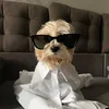 wixxman