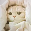 th.hng.nguyn3532